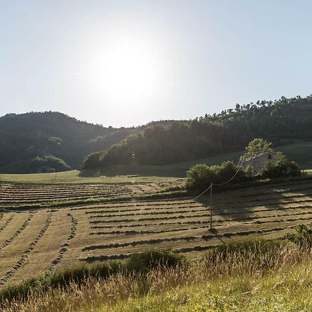 Agriturismo L'Antico Frutto Villa Premilcuore Kültér fotó