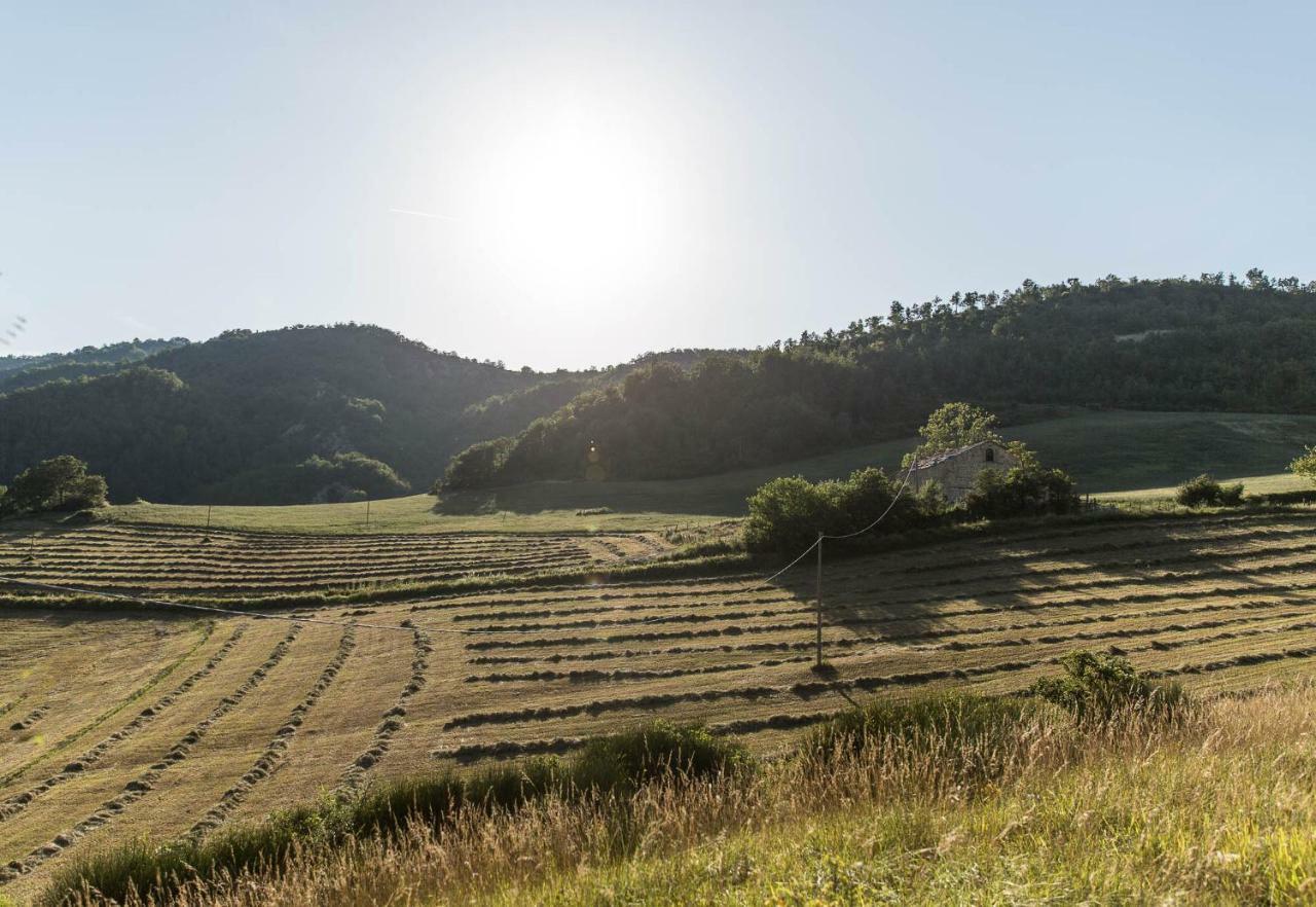 Agriturismo L'Antico Frutto Villa Premilcuore Kültér fotó