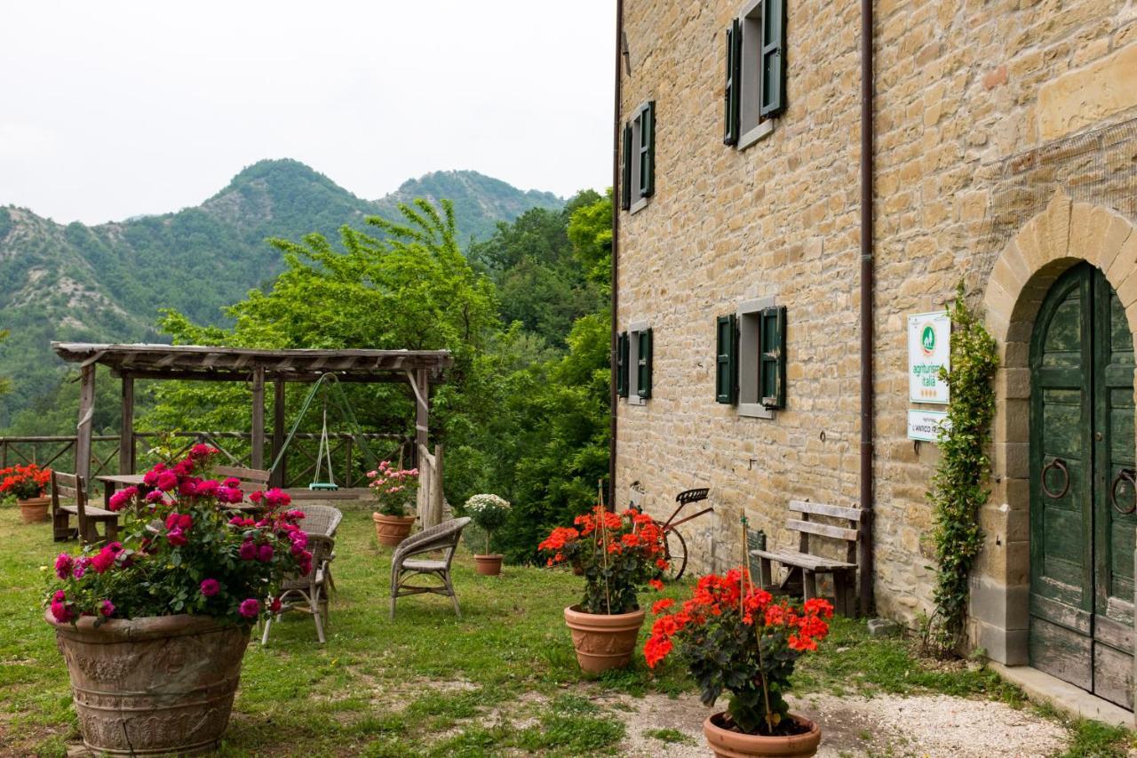 Agriturismo L'Antico Frutto Villa Premilcuore Kültér fotó