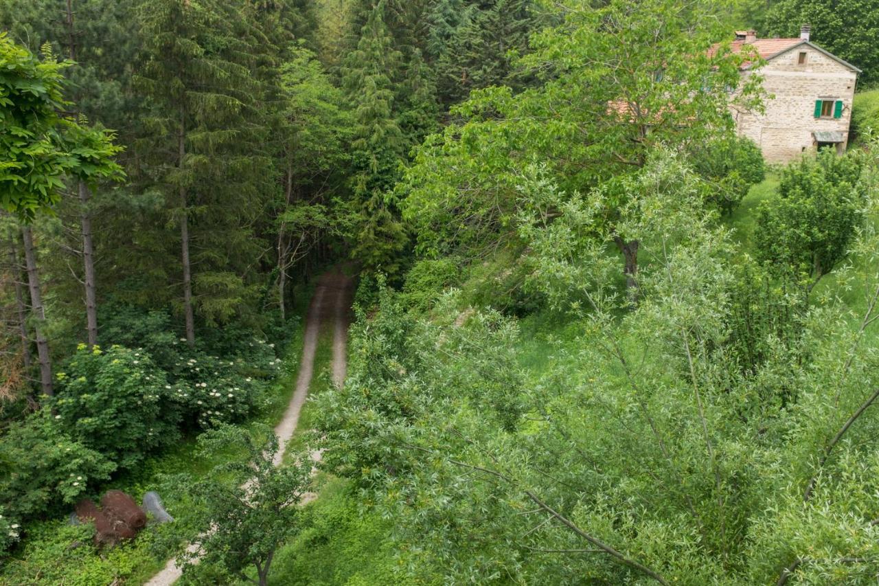 Agriturismo L'Antico Frutto Villa Premilcuore Kültér fotó