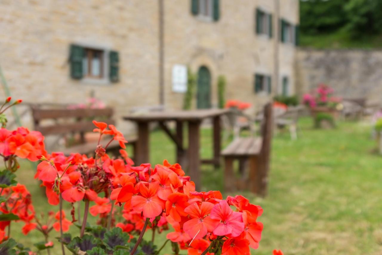 Agriturismo L'Antico Frutto Villa Premilcuore Kültér fotó